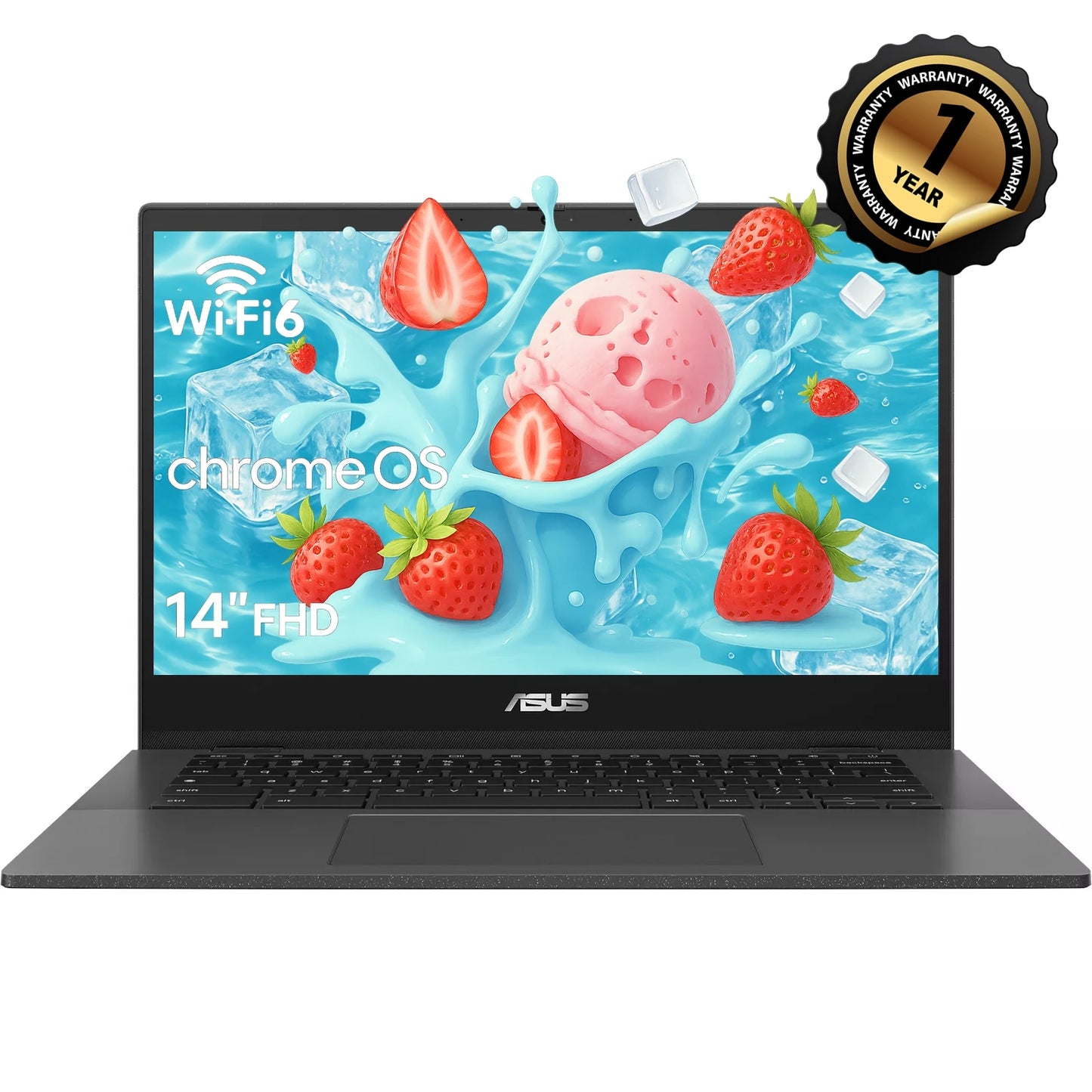ASUS Chromebook Business Laptop With MediaTek Kompanio 520 4GB RAM