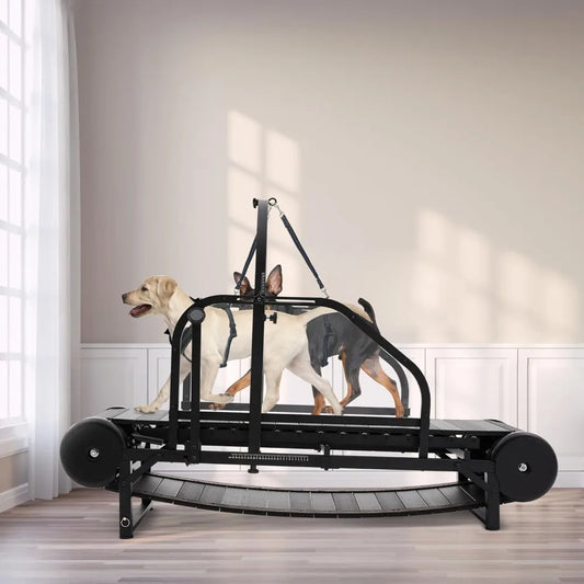 Dog Treadmill With Adjustable Ramp Slatmill For Exercise
